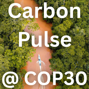 Carbon Pulse